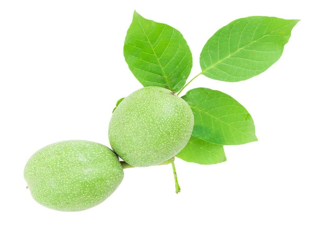 Adelhausen Unterm Nussbaeumle 아파트 객실 사진